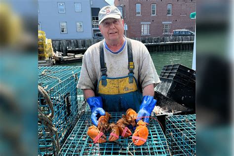 Maines Une Marine Science Center Is Home To Another Rare Lobster
