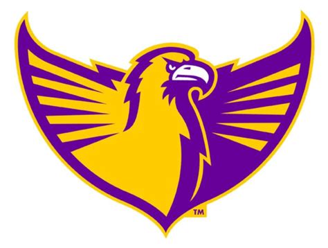 Tennessee Tech Golden Eagles Vector Logo Eagles Logo