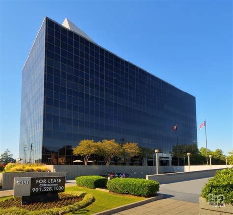 You can rely on the dedicated team at memphis veterinary specialists & emergency in cordova to provide quality and compassionate pet care. Memphis, Tennessee Eye Care Specialists