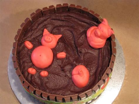 Arial View Of Pigs In Mud Cake Her Version On