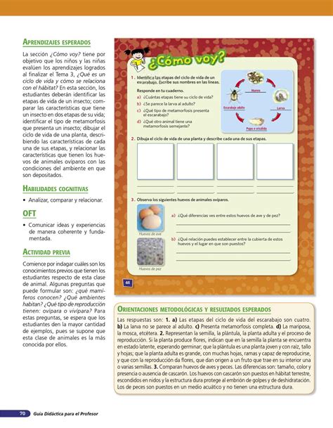 Ciencias Naturales 4º Texto Para El Maestro By Sandra Nowotny Issuu
