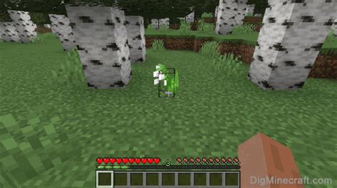 Lily Of The Valley Minecraft