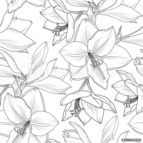 Summer Flowers Drawing At Explore Collection Of