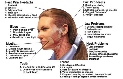 Tinnitus Jaw Pain Tinnitus And Disorders Of The Temporo Mandibular