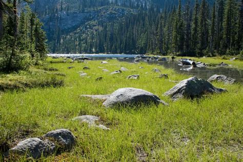 Free Images Landscape Nature Grass Outdoor Wilderness Walking