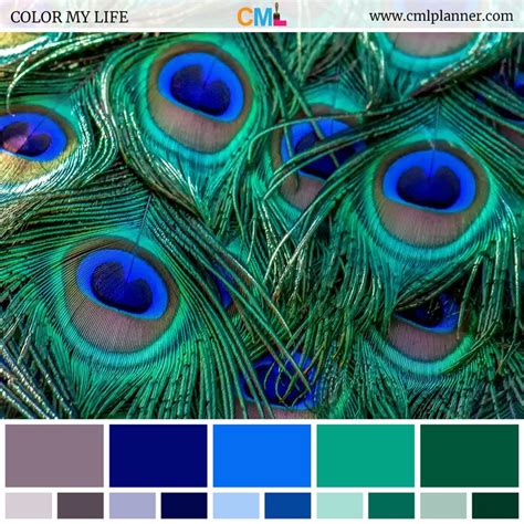 It is a perfect paint color for a dining room. Color Palette #072718 (With images) | Green color combinations, Peacock color scheme, Blue color ...