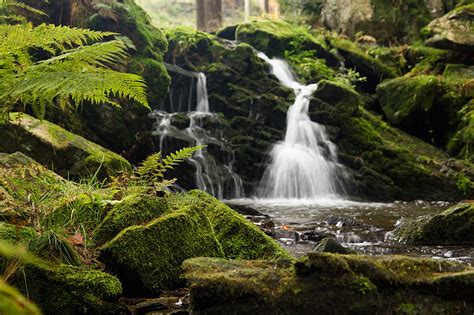 Waterfall Moss Stream Rocks Stones Forest Fern Nature Hd