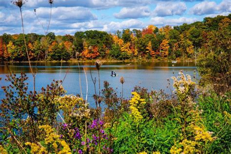 The 12 Best Places To View Fall Foliage In Ohio Before It
