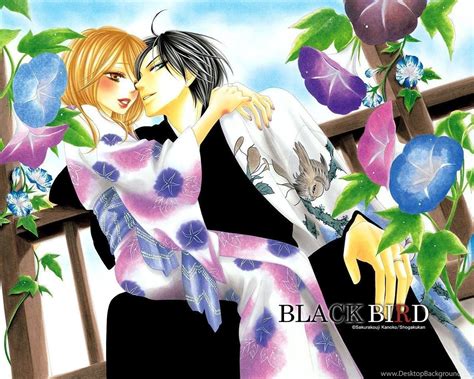 Black Bird Manga Wallpapers Zerochan Anime Image Board Desktop