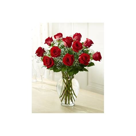 Classic Dozen Roses Mundelein Il