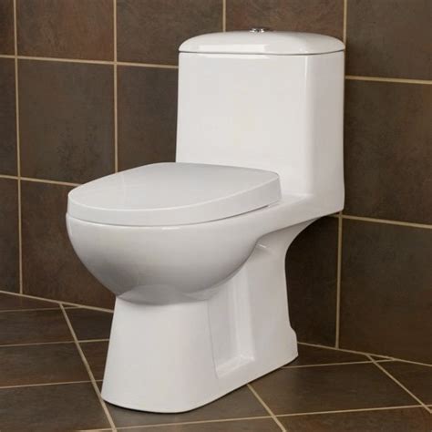 Ahren Dual Flush Elongated Siphonic Rear Outlet One Piece Toilet