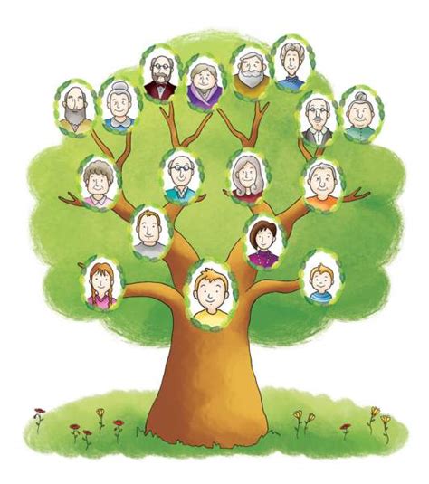 Como hacer un árbol genealógico para niños Toda la información