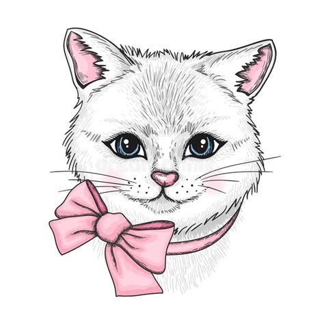 Retrato Dibujado A Mano De Gato Blanco Con Un Arco Rosa Ilustración Del