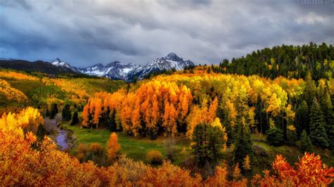 Your Ultimate Guide For Colorados Fall Colors
