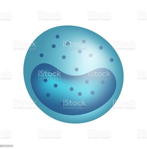 Monocyte Vector Illustration Blood Cell Stock Illustration Download