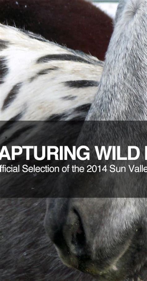 Capturing Wild Horses 2014 Plot Summary Imdb
