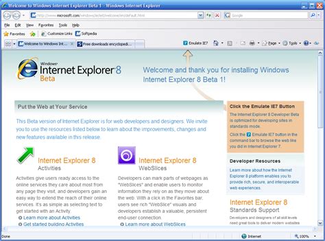 2008 Internet Explorer Download Dastwalker
