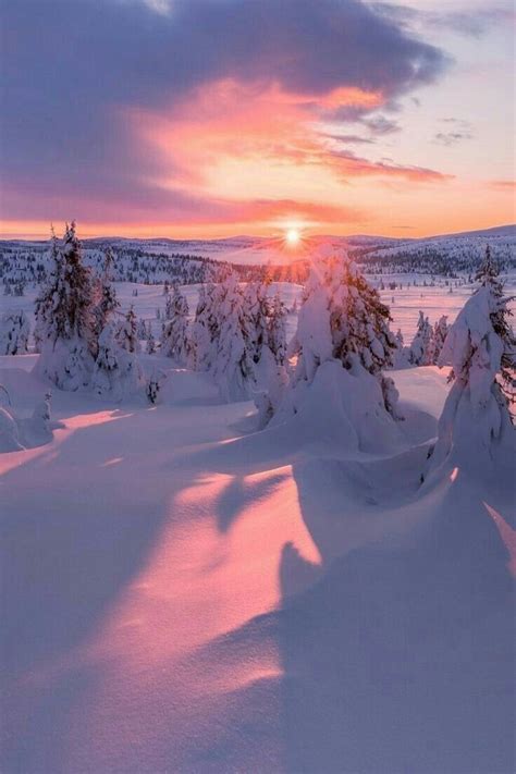 A Snowy Sunset Winter Landscape Winter Scenery Winter Pictures