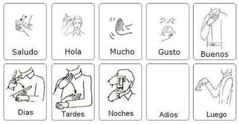 Pin En Mexican Sign Language Lsm