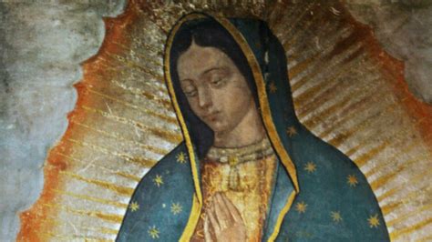 We did not find results for: "I Am Your Mother" - The Promise of Our Lady of Guadalupe ...