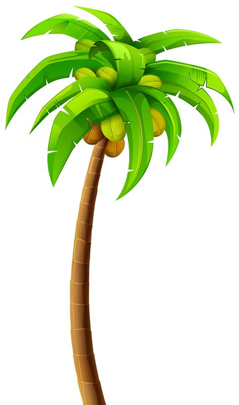Palm Tree Png Transparent Image Download Size 1200x2030px