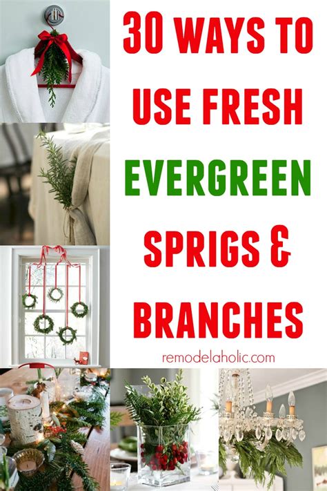 Remodelaholic 30 Ways To Use Fresh Evergreen Boughs