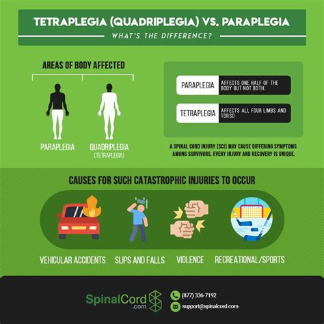 What Is Tetraplegia Quadriplegia And Paraplegia