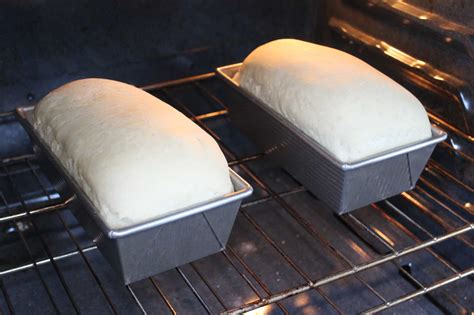 Homemade Bread Recipe And Tips