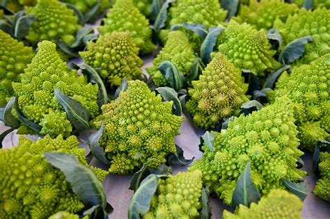 Romanesco Broccoli Naturally Grows In Striking Geometric Fractal
