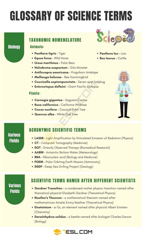 Science Terms Science Words Scientific Terminology • 7esl