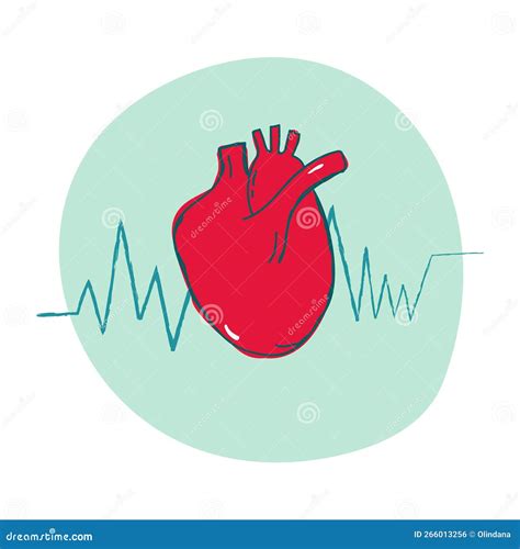 Doodle Vector Illustration Anatomical Realistic Human Heart With