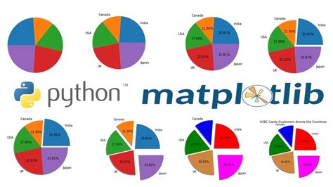 Pie Chart Map Python