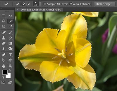 Click and drag over an area you want to select. Photoshop Quick Selection Tool - Dan Moughamian