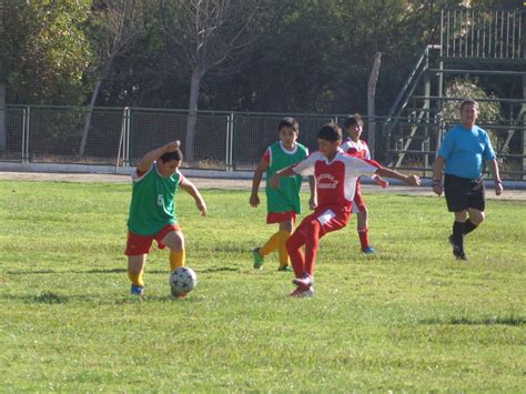 Check spelling or type a new query. El deporte de tu ciudad: 14-may-2013