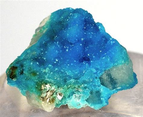 Turquoise Md 216415 Bishop Mine Usa Mineral Specimen