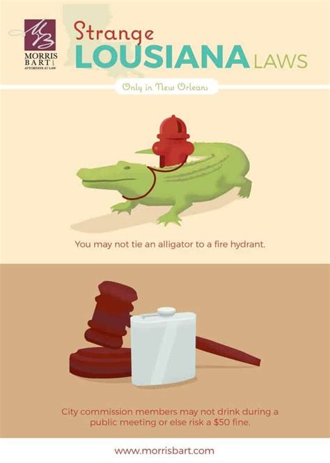 Hilariously Strange Louisiana Laws Infographic