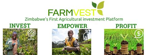 Farmvest An Agriculture Investment Platform That Will Help Zim Farmers