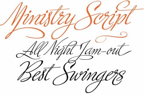 A new bold script font. MyFonts: Rising Stars, January 2010