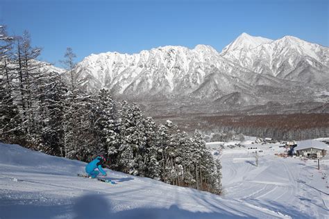 Why You Should Visit Nagano This Winter Skiing Temple Stays And Snow