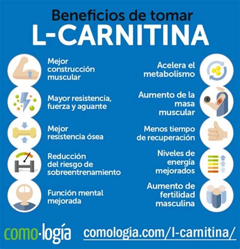 l carnitina para qué sirve dosis y efectos ¡no la tomes sin leer esto