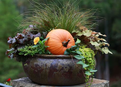Dream House Update Fall Container Gardens Lulu The Baker