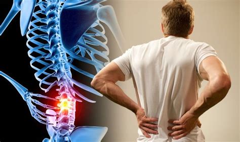 See how exercise helps the back. Lower back pain: Simple exercises to relieve pain caused by muscle strain | Express.co.uk