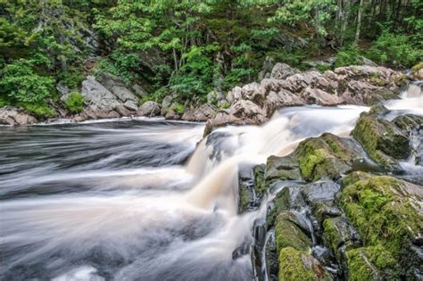 Canada Forest Jungle River Rocks Stones Waterfalls