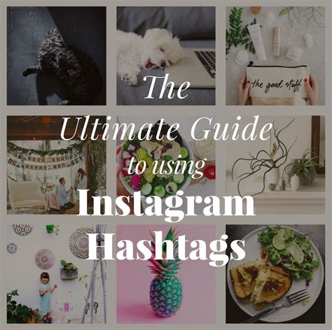 Ultimate Guide To Using Instagram Hashtags Best Instagram Hashtags