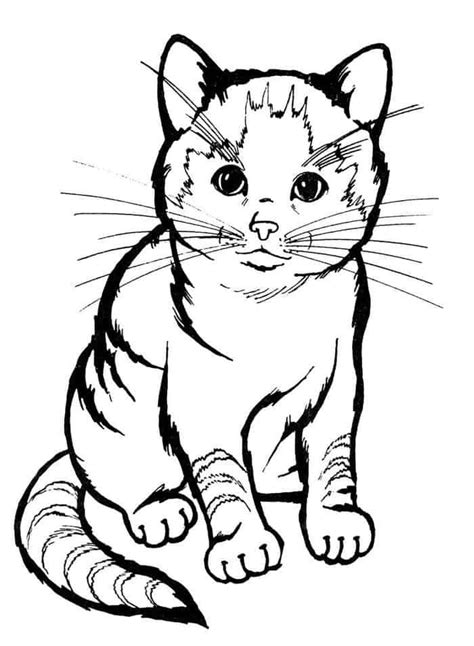 Realistic Cat Coloring Pages Printables Cat Coloring Book Cat