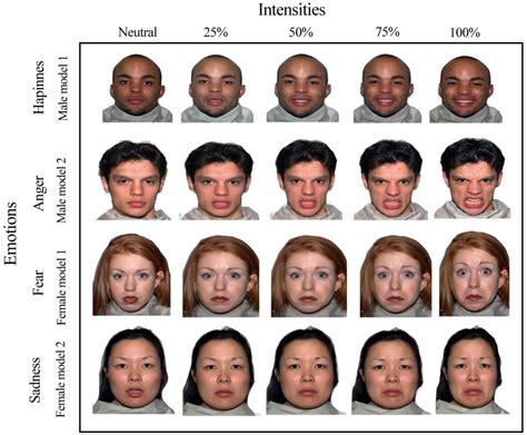 Comparing Static And Dynamic Emotion Recognition Tests Mobile Legends