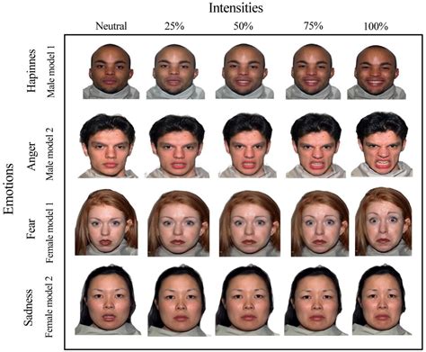 Frontiers | Facial Emotion Recognition and Executive Functions in ...