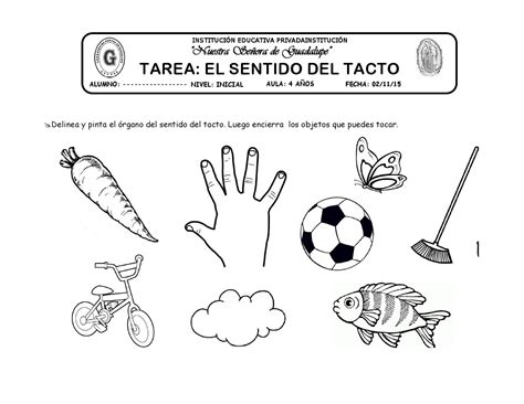 Actividades Para Trabajar El Sentido Del Tacto En Pre