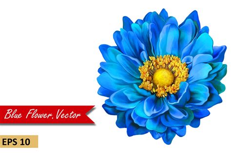 Buy dahlia seeds & bulbs and get the best deals at the lowest prices on ebay! Blue Dahlia Flower. Vector | Custom-Designed Graphic ...