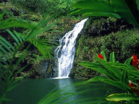 Waimea Falls Oahu Hawaii Dennis Smith Mount Rainier National Park